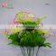 milky white carnation flower for marriage decoration