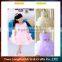 Top quality newest design baby princess dress designs colorful tutu dress