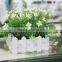 Cheap Artificial Potted Small Flower Plant Daffodil in White Wood Planter for Sell