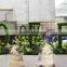 Beautiful Hot fashion new product artificial mini plants table decoration