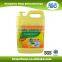 Kitchen detergent soap