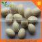 China Supplier High Quality product OEM 500mg Halal liquid calcium Vitamin D3 softgel for elderly