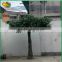 wholesale artificial big tree fiberglass artificial banyan tree