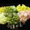 Wholesale silk hydrangea flowers medium size artificial flowers from China