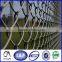 Hot dipped galvanized chain link fence/electro galvanized chain link fence