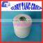 100 biodegradable polylactic acid yarn, 100% pla yarn for tea bags thread                        
                                                Quality Choice