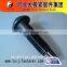 Tor shear bolt for steel structure (ISO9001:2008 CERTIFIED)
