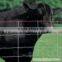 Animal/fence Netting Fence Field (factory)