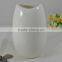Indoor ceramic flower pot