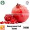 restrain HIV ellagic acid pomegranate seeds extract