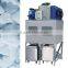 Flake Ice Machine With Ice Storage Bin for Supermarket Seafood Keep Fresh