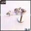 Manufacturer sales fastener custom stainless steel screw,M3 thumb screw