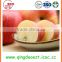 Fruit best choice fresh new sweet red fuji apple in Grade A/B/C from yantai in good quality