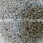 HIGH QUALITY WHITE PEPPER