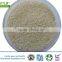 dehydrated garlic granules 5-8/8-16/16-26/26-40/40-80mesh from factory with white color