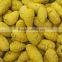 Exporters of Turmeric Bulb Erode