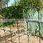 Plastic mesh fence