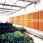 commercial greenhouse