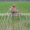 small weeder for paddy field