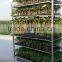 152 Seedling retail containers Seedling European flower trolley Seedling pot plant trolley
