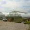 Agricultural Greenhouse sale