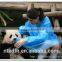 PE film laminated spunbond nonwoven for medical bedsheet or disposable gown