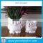 Various Kinds Lovely Fancy Animal Clay Pots