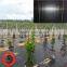Factory direct sale gardening weed control geotextile