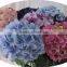FLH05-7 cheap artificial hydrangea flower wholesale silk weddding flower hadrangea for wedding decoraitons