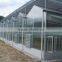 Agricultural Venlo Polycarbonate Greenhouse
