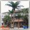 90% similation hot market price of artificial outdoor fake coconut palm tree decoration