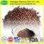 Natural 95% OPC Grape Seed Extract