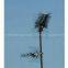Radio Antenna Mast