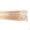 2017 hot selling hair product fast shipping clip in hair extension
