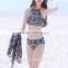 Three-piece bikini small chest gather sexy fashion cover the belly skirt style swimsuit Korea