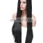 Peruvian hair preplucked straight wave human hair full lace wig