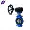 long stem butterfly valve with adjustable metal seat ring and gaskset