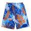 beach shorts       Summer men's quick-drying swimwear breathable shorts running custom beach