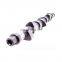 CCEC original diesel engine parts K19 camshaft 3066882