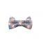 Noble classic British style dog bow tie denim bow tie pet collar