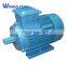 y2 Series Three Phase Electric Motor for Food Processor