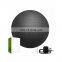 Harbour Fitness GYM Custom Logo Exercise Yoga Ball with Hand Pump