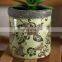 Factory direct sale cheap butterfly relief pattern design ceramic succulent flower planters green for home decor