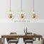 Modern personality simple plant round led pendant light for decorate