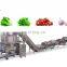 1000kg lettuce cutting washing drying processing line