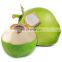 For Drink Healthy And Cheap Price Fresh Coconut Origin From Viet Nam