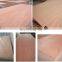 3.8mm okoume face plywood  two times sheet poplar core   with competitive  price best sales