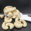 Cheap Cashew Nuts from Byloo