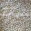 pistachio package 100% safety food grade roasted white color pistachio nuts in shell with wholesale price