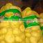 Vegetable Mesh Bag
